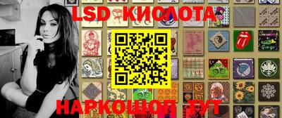 меф Кингисепп