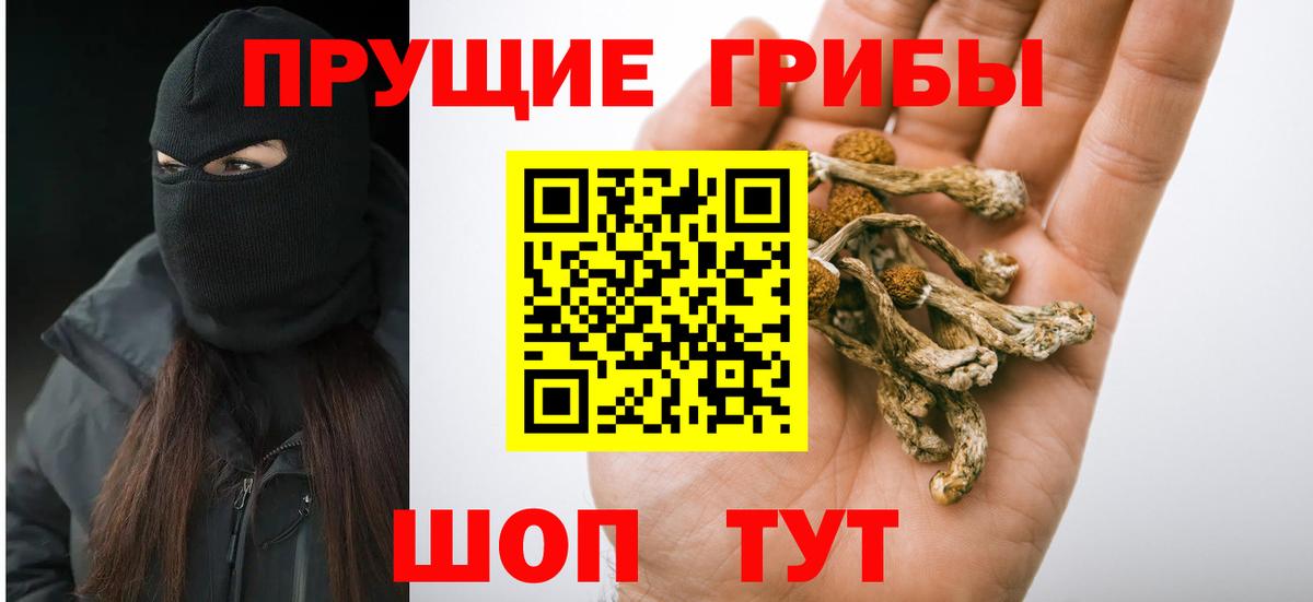 Галлюциногенные грибы прущие грибы  Вход с VPN  Псилоцибиновые грибы мухоморы  Кызыл 